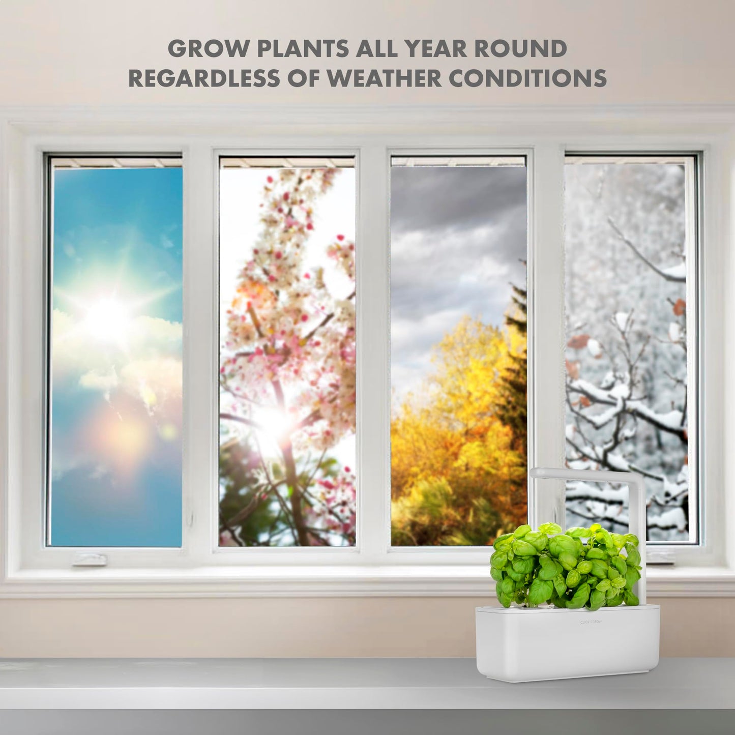 Click & Grow Indoor Herb Garden Kit with Grow Light | Smart Garden for Home Kitchen Windowsill | Easier than Hydroponics Growing System | Vegetable Gardening Starter (3 Basil Pods included), Grey