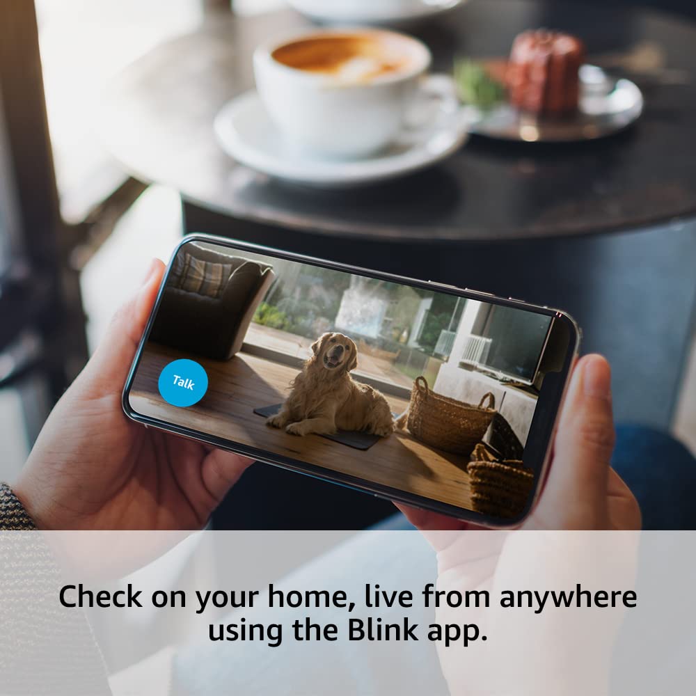 Blink Mini | Indoor plug-in pet security camera, 1080p HD day and night video, motion detection, two-way audio, easy setup, Alexa enabled, Blink Subscription Plan Free Trial — 1 camera (White)